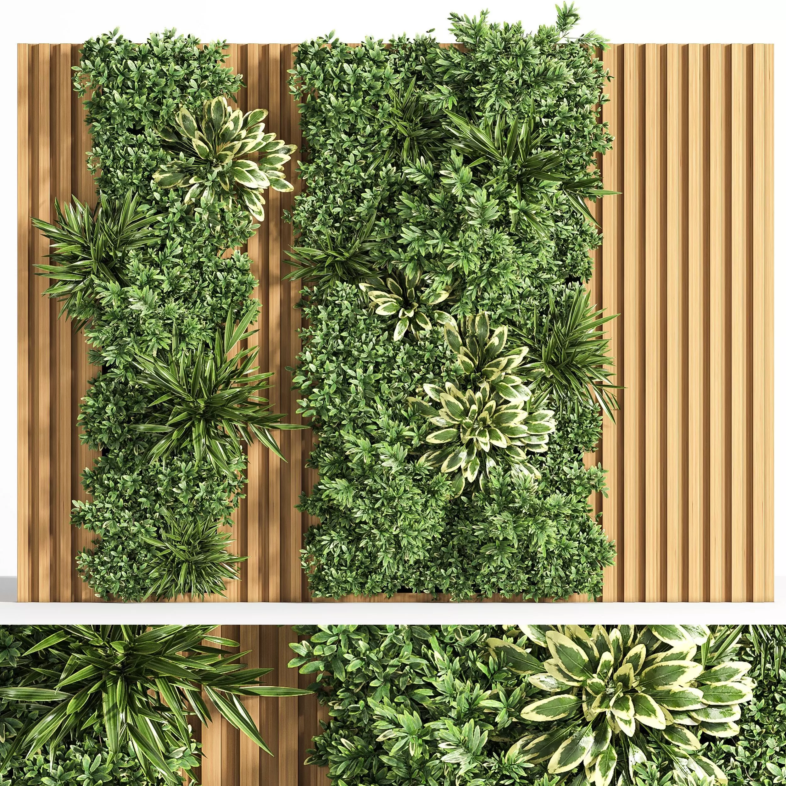Wooden planks and vertical garden 3D model_0