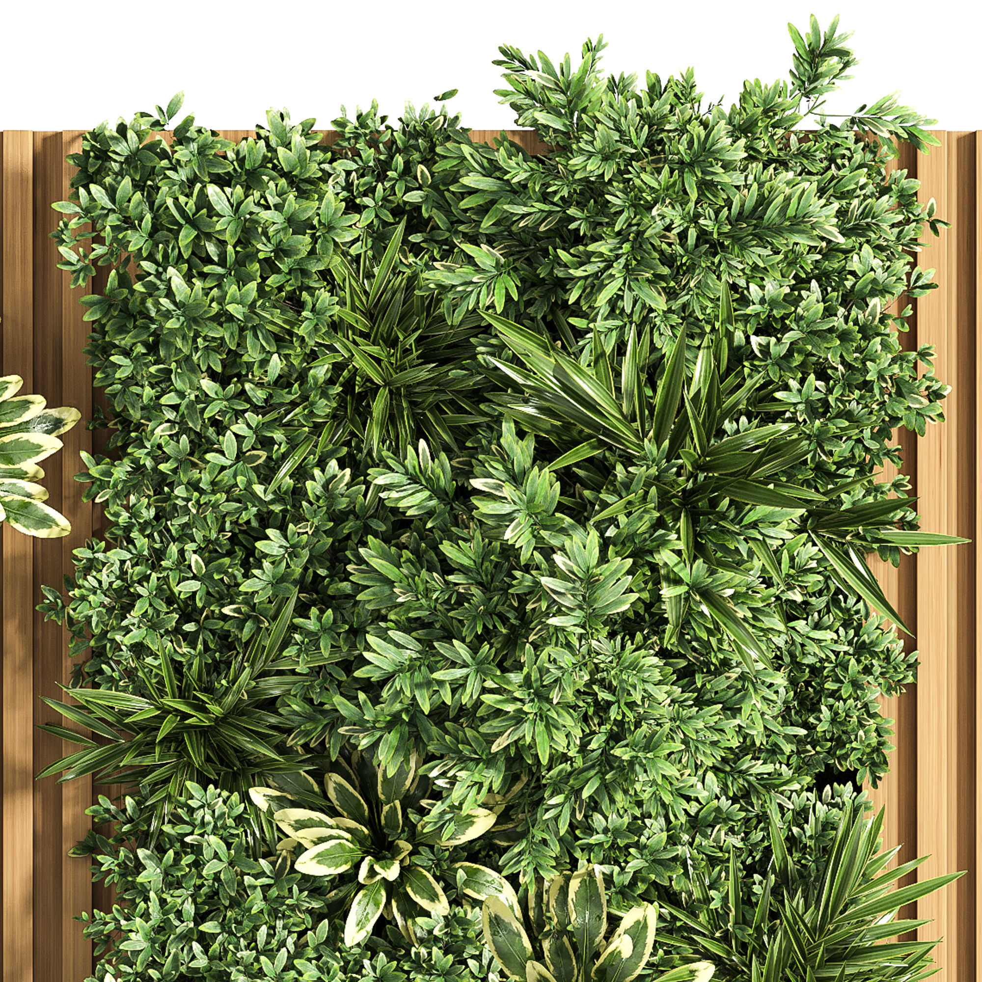 Wooden planks and vertical garden 3D model_4