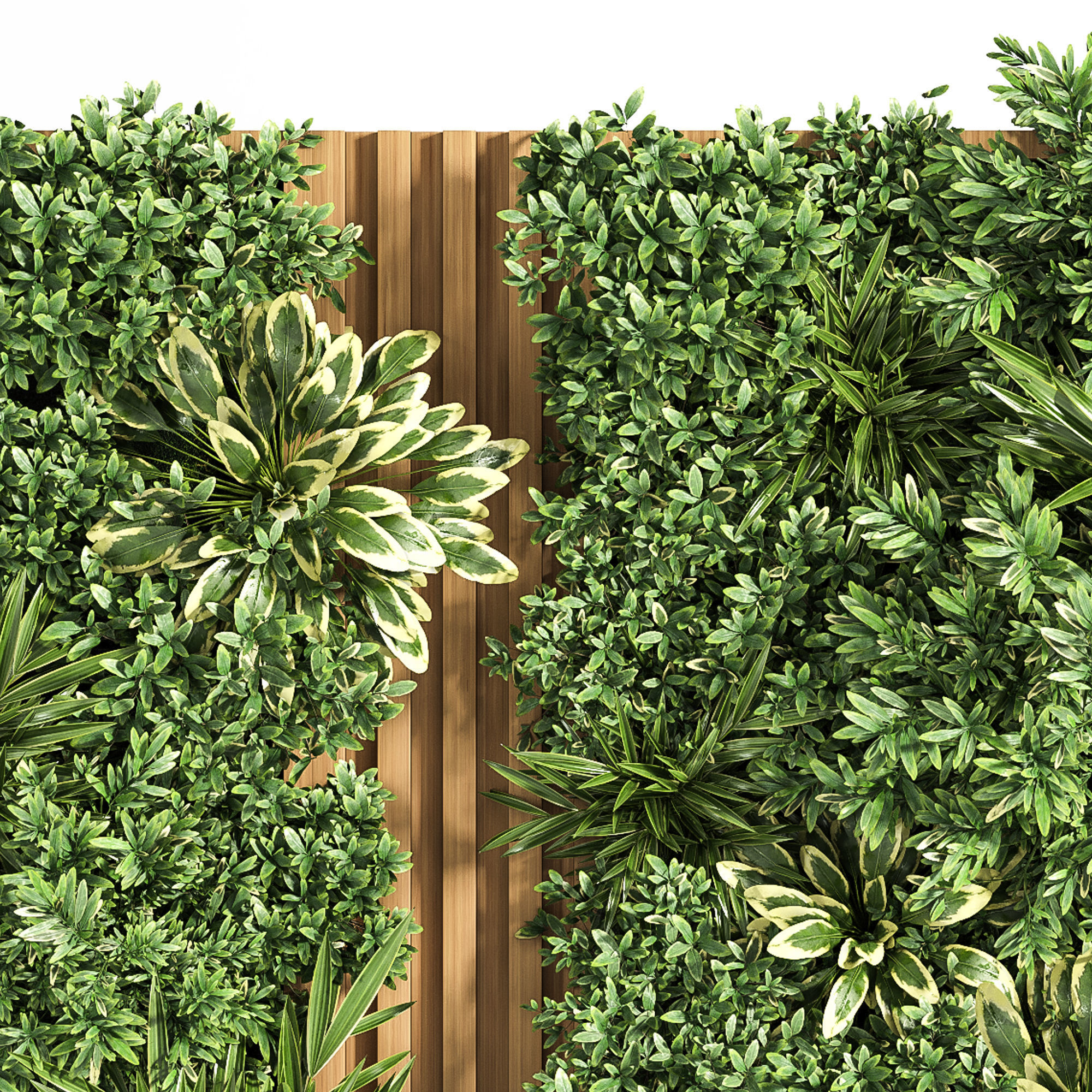 Wooden planks and vertical garden 3D model_3