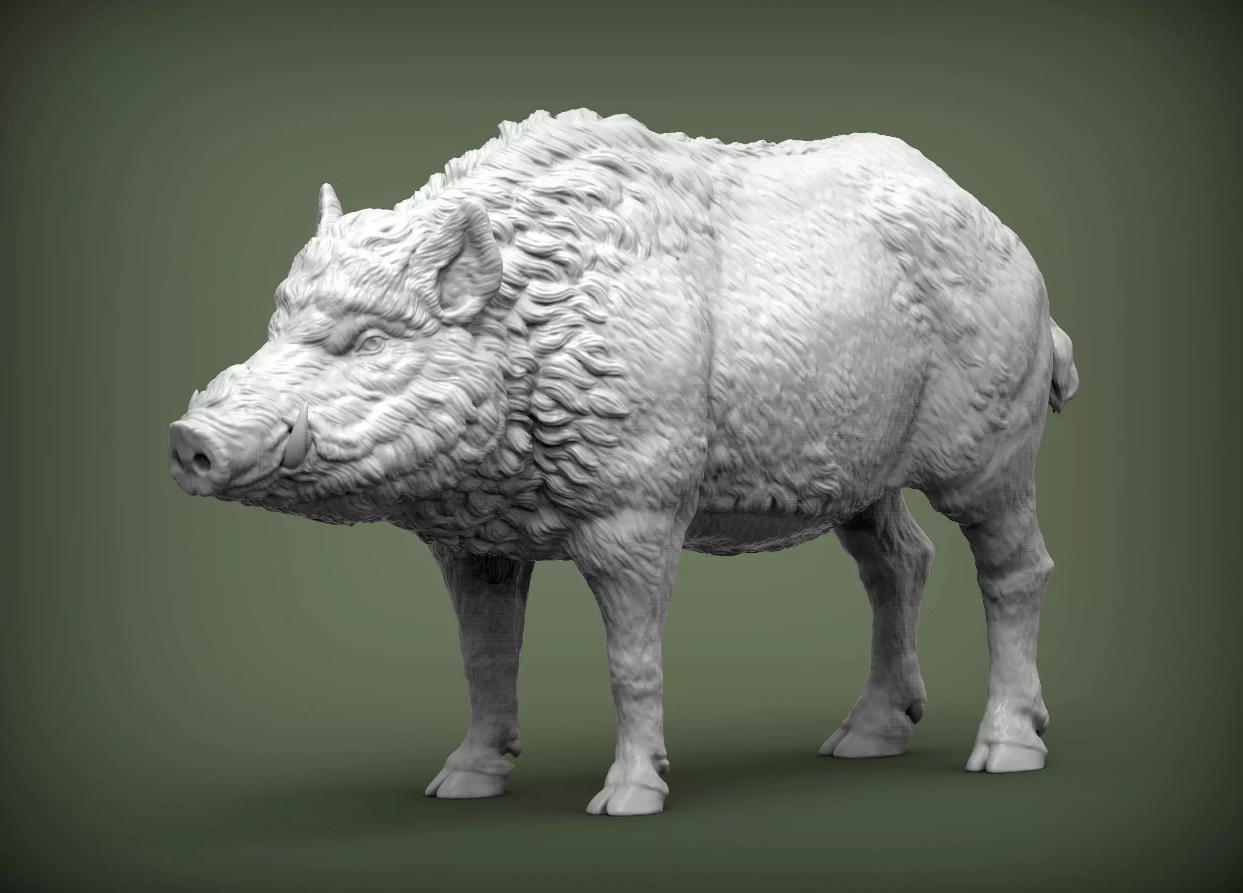 Boar 3D print model wild 3D print model_0