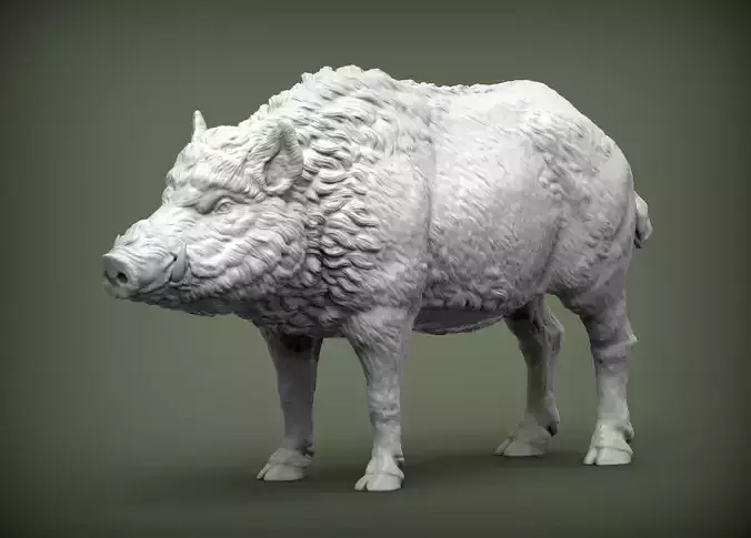 Boar 3D print model wild 3D print model