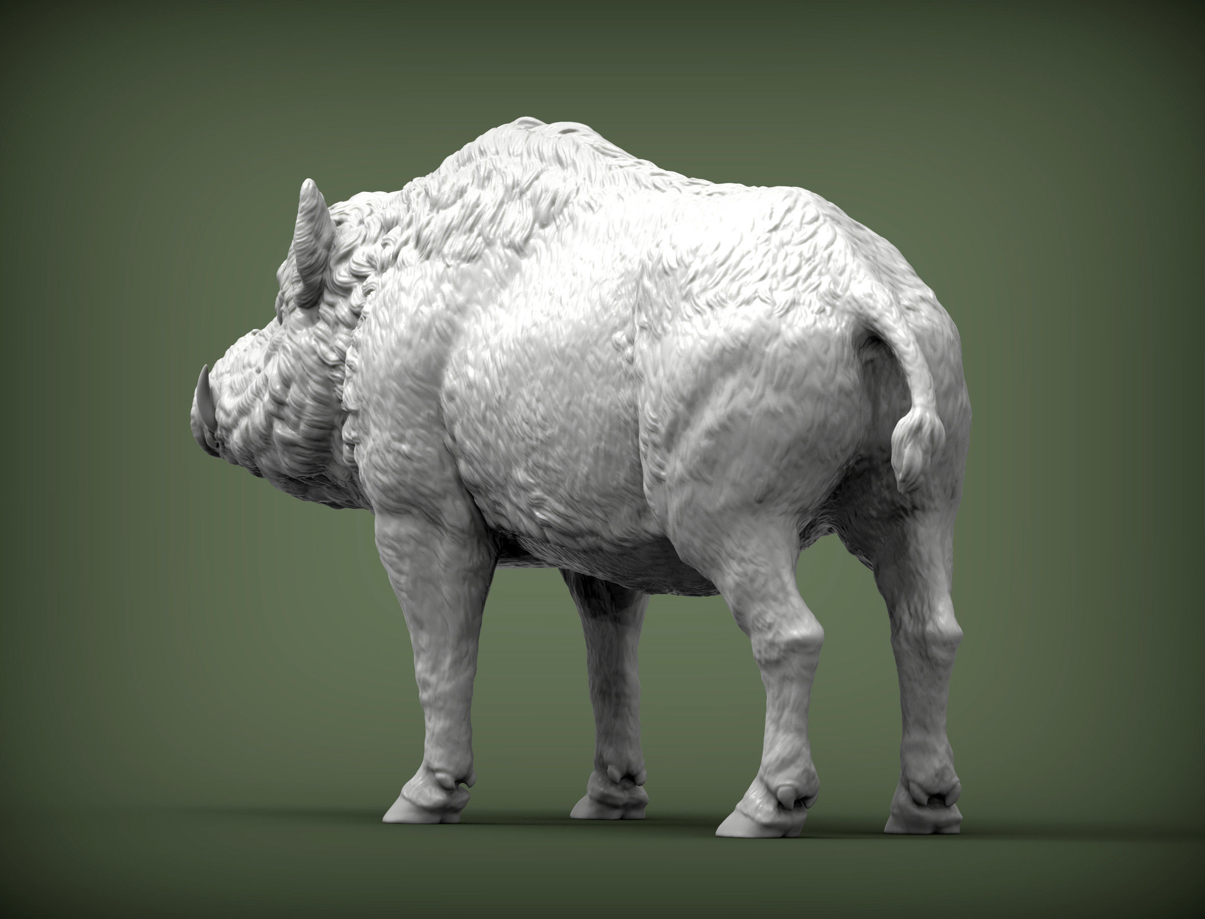 Boar 3D print model wild 3D print model_5