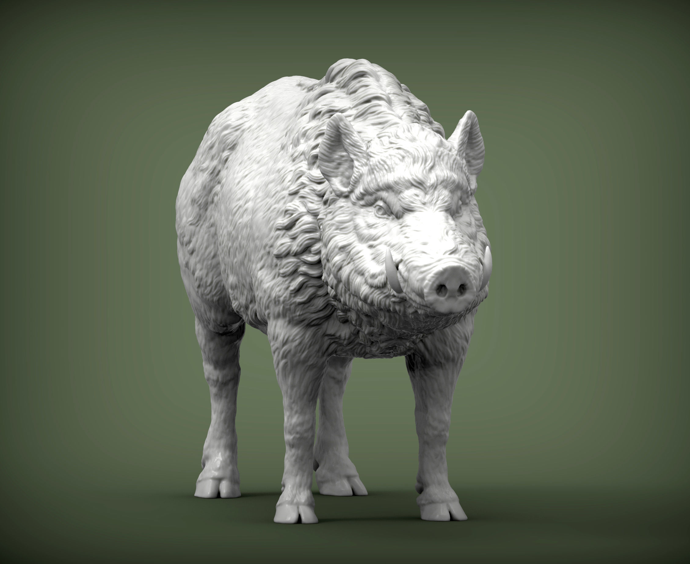 Boar 3D print model wild 3D print model_3