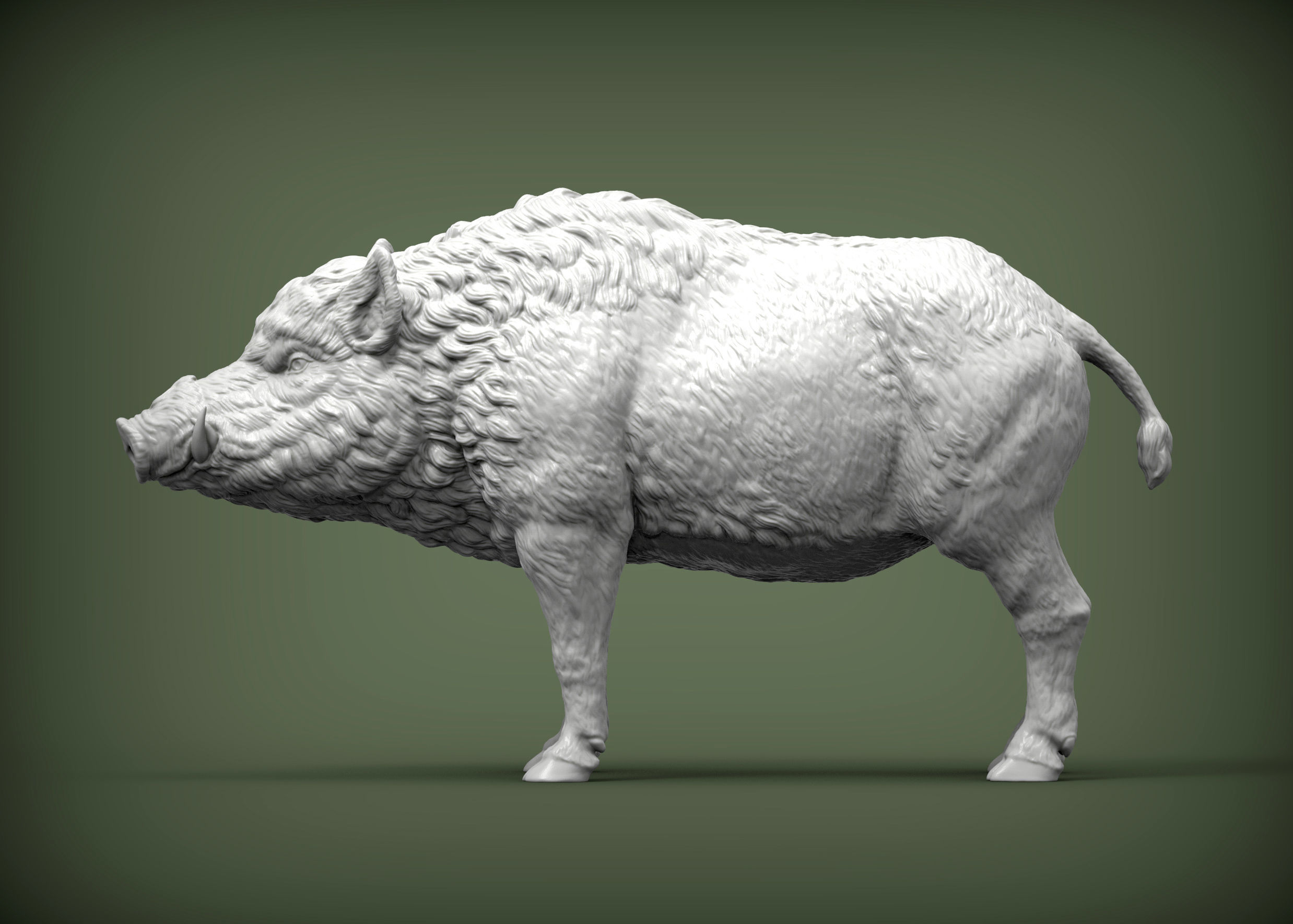 Boar 3D print model wild 3D print model_4