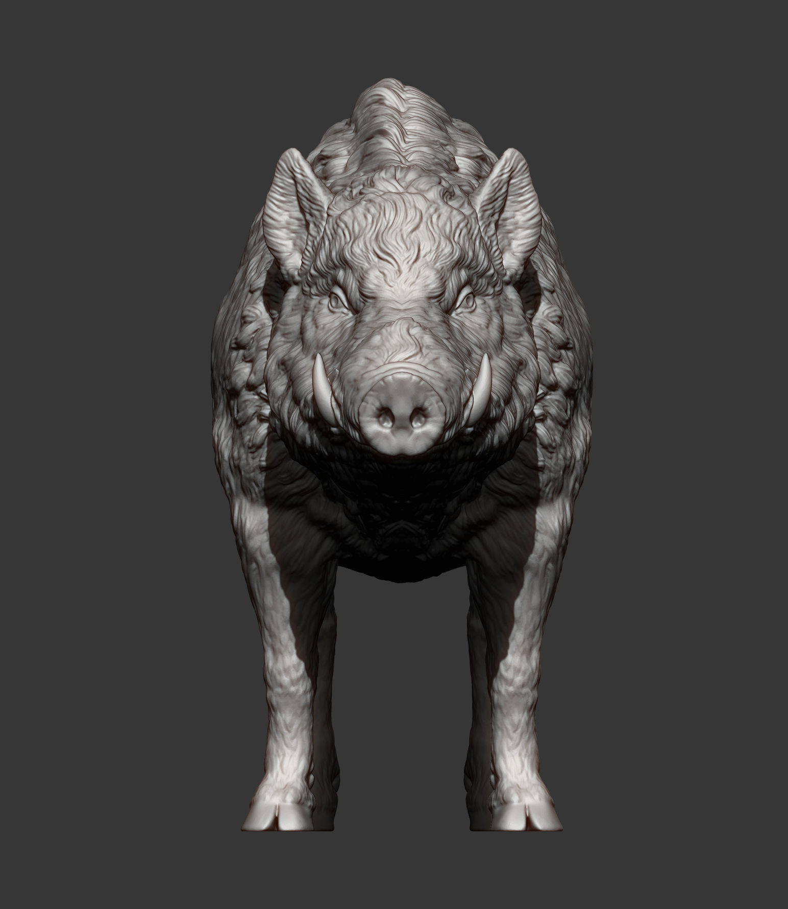 Boar 3D print model wild 3D print model_12
