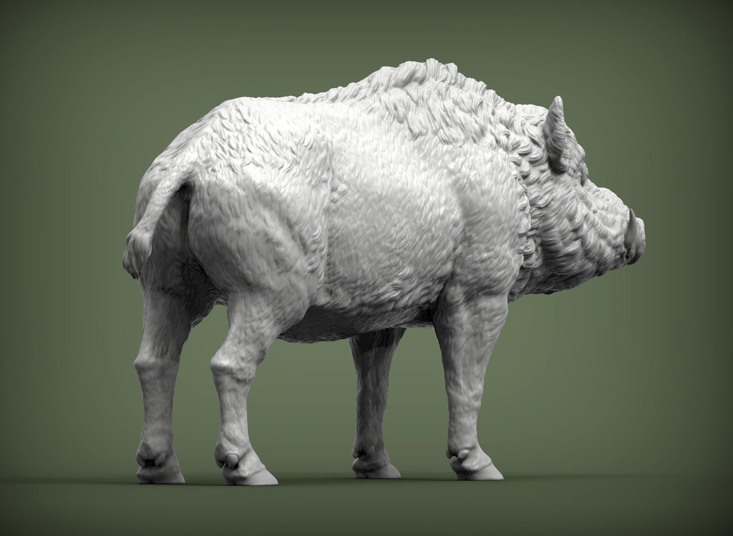 Boar 3D print model wild 3D print model_6