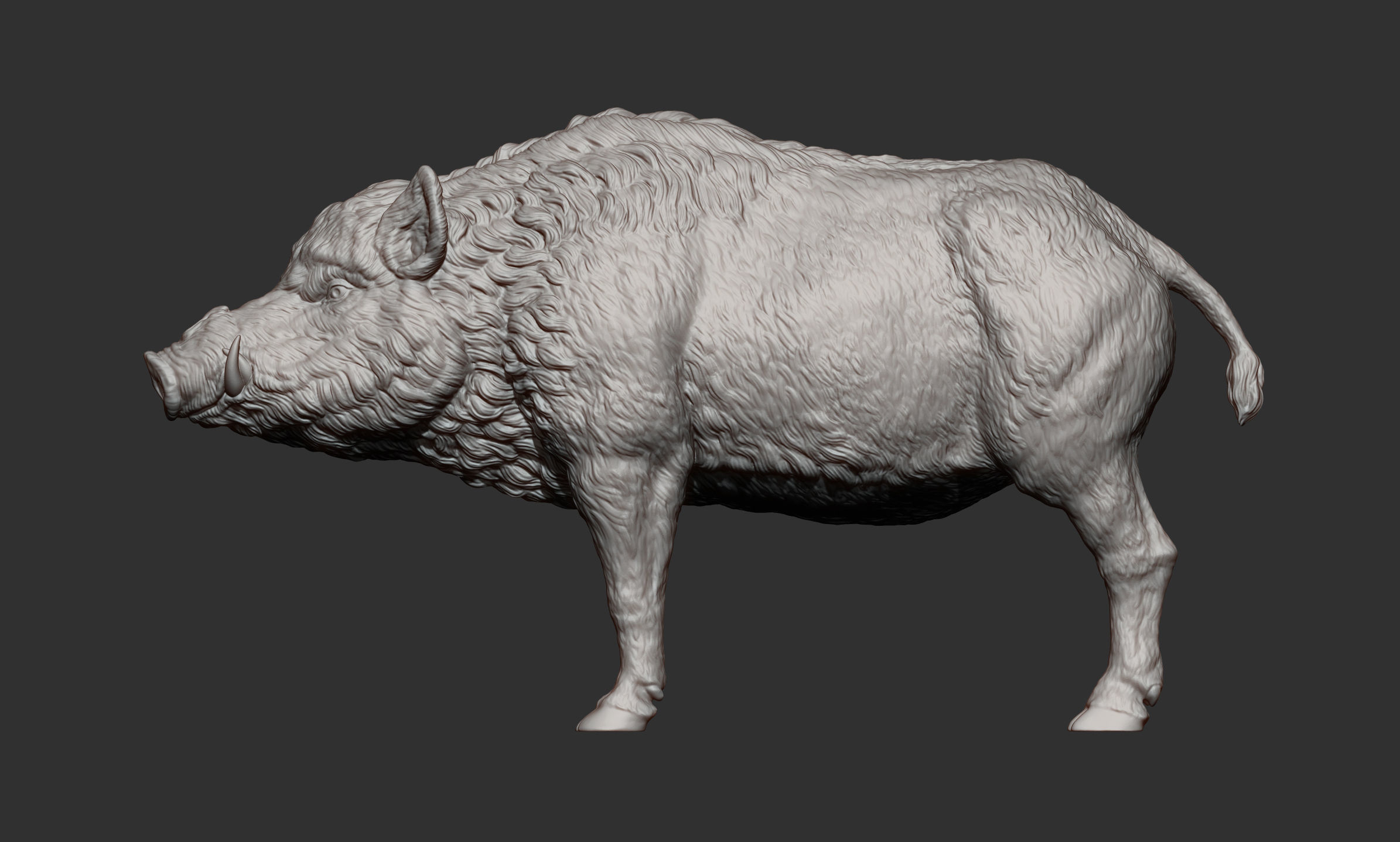Boar 3D print model wild 3D print model_8
