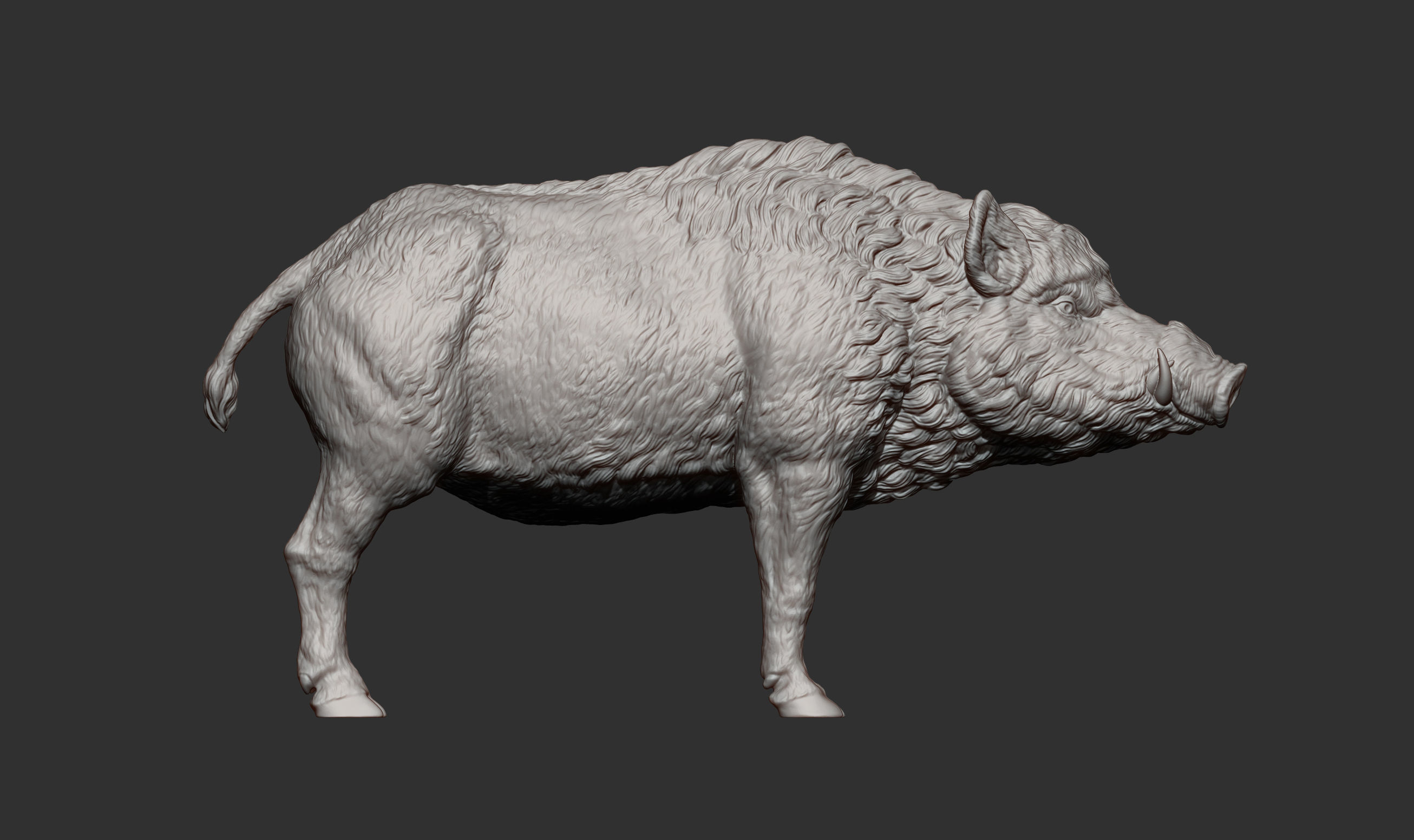 Boar 3D print model wild 3D print model_7