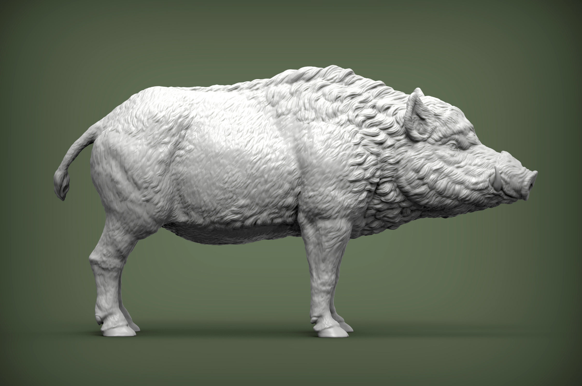 Boar 3D print model wild 3D print model_2