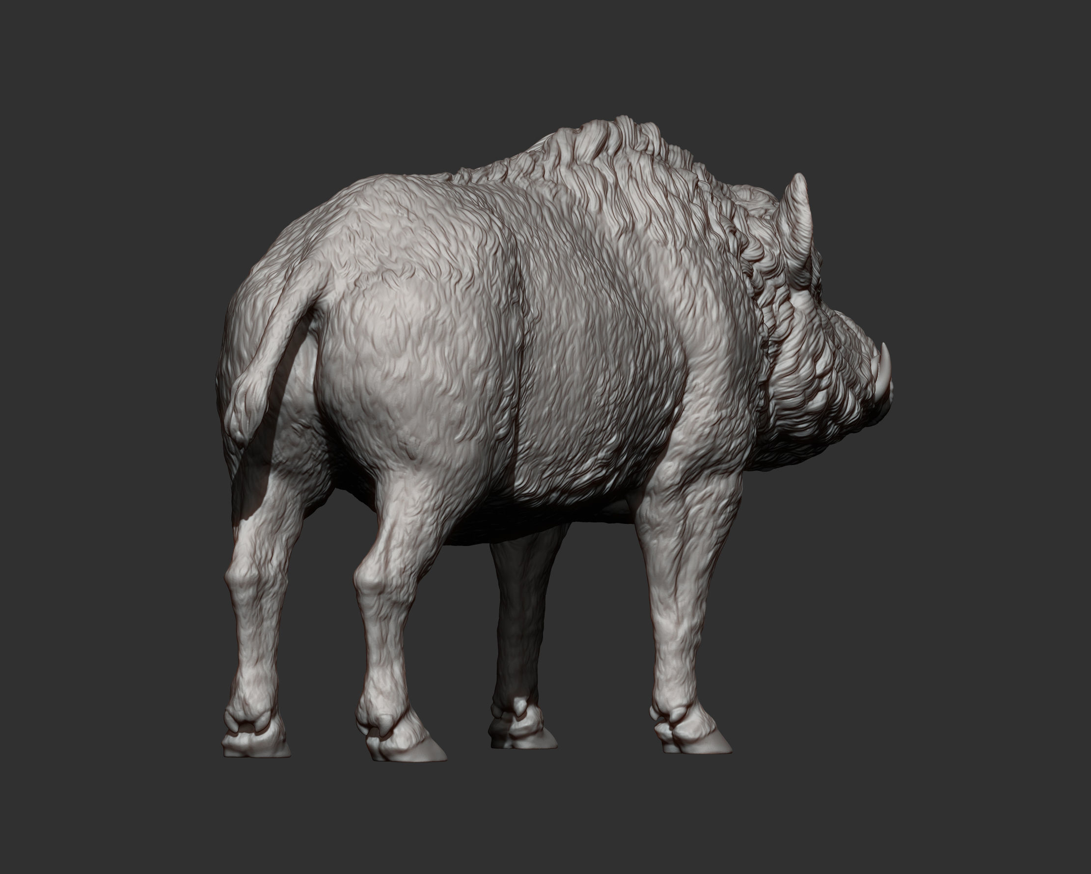 Boar 3D print model wild 3D print model_9