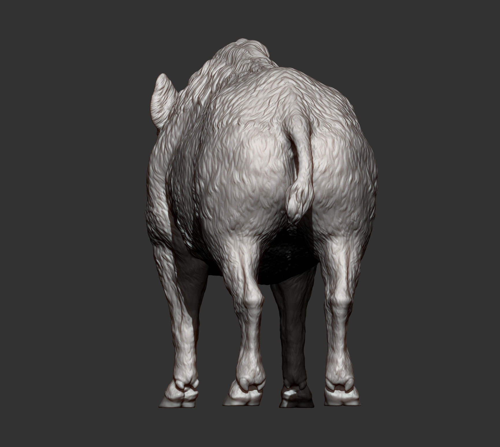 Boar 3D print model wild 3D print model_10