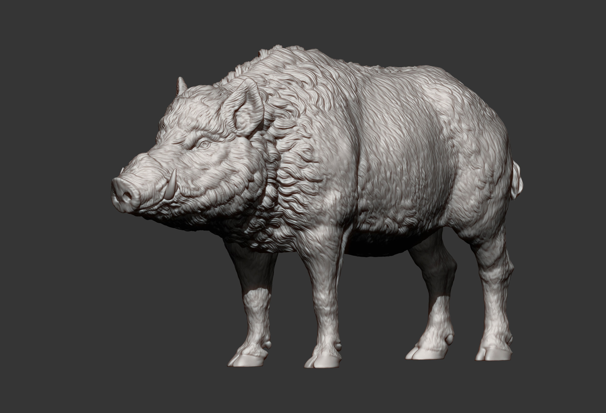 Boar 3D print model wild 3D print model_11