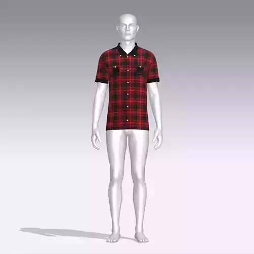 Shirt mannequin in plaid