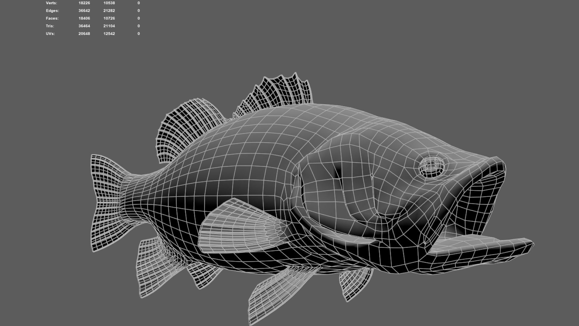 Bass Fish 3D model_6