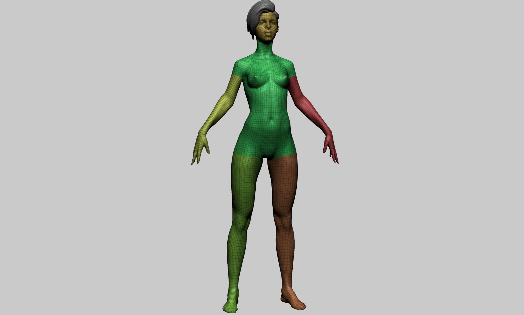 Stylized Female Anatomy B 3D model_18
