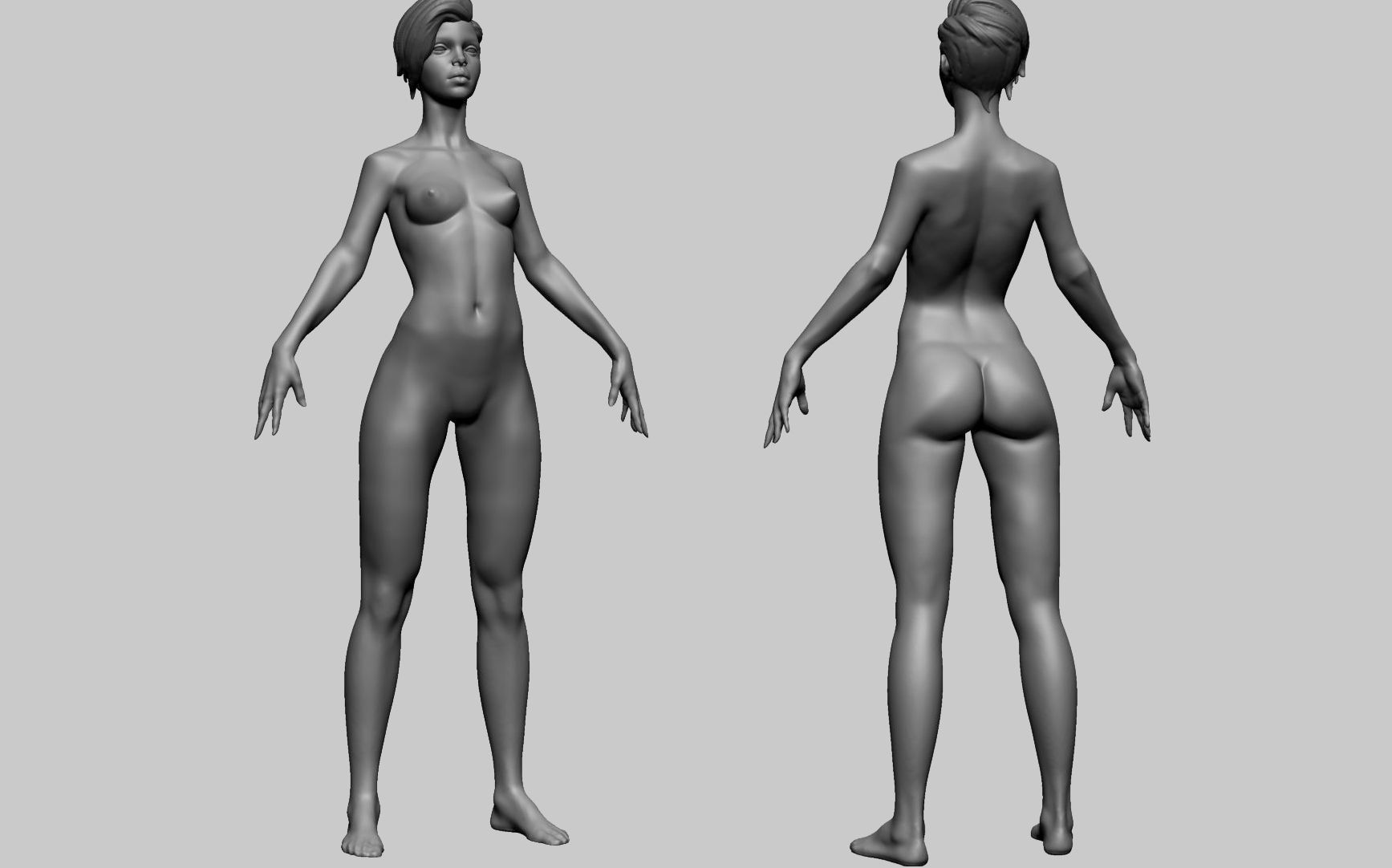 Stylized Female Anatomy B 3D model_1