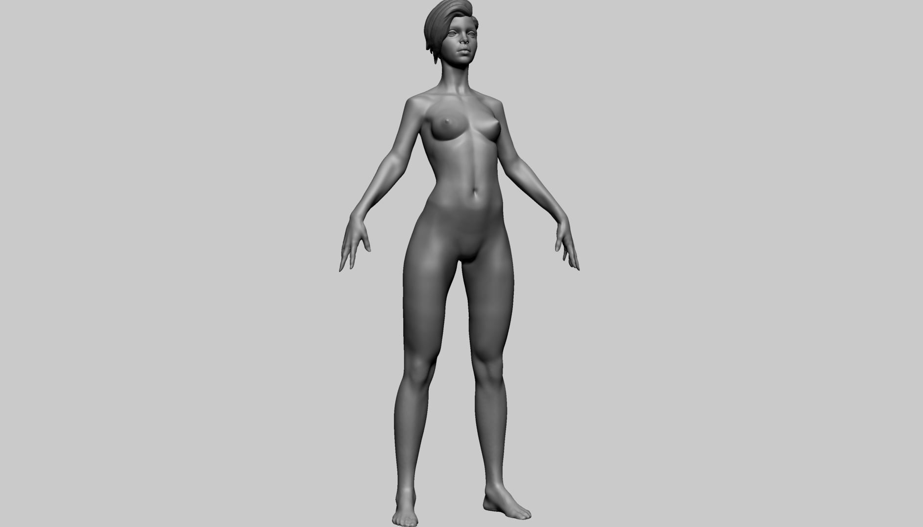 Stylized Female Anatomy B 3D model_2
