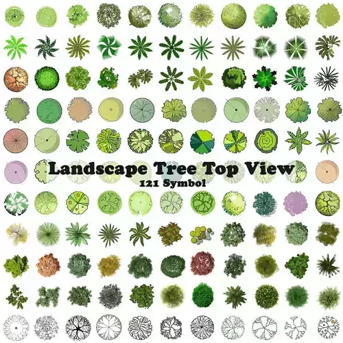  Landscape Tree Plan View 121 Symbol  Texture