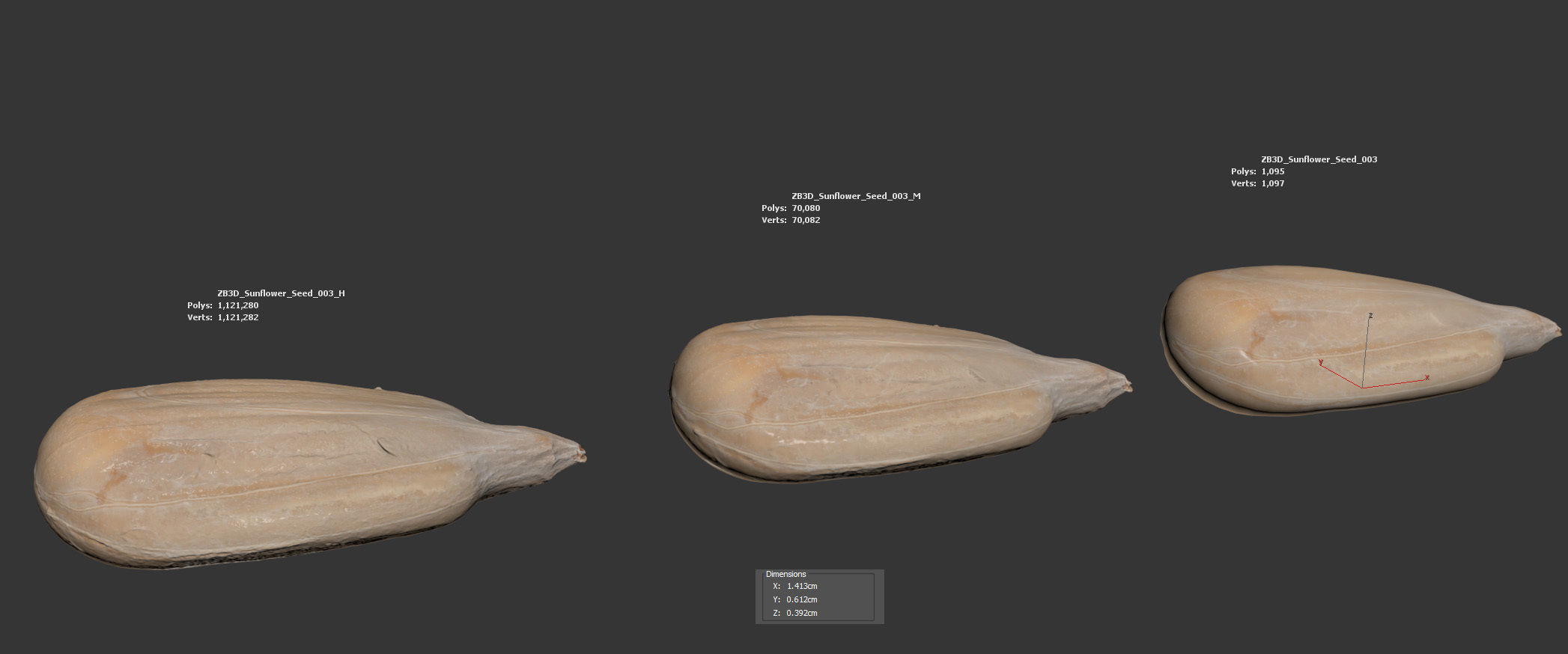 Sunflower Seed 3D model_5