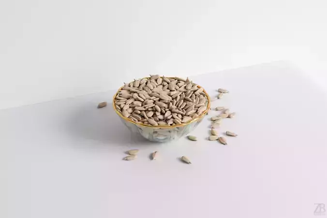 Sunflower Seed 3D model