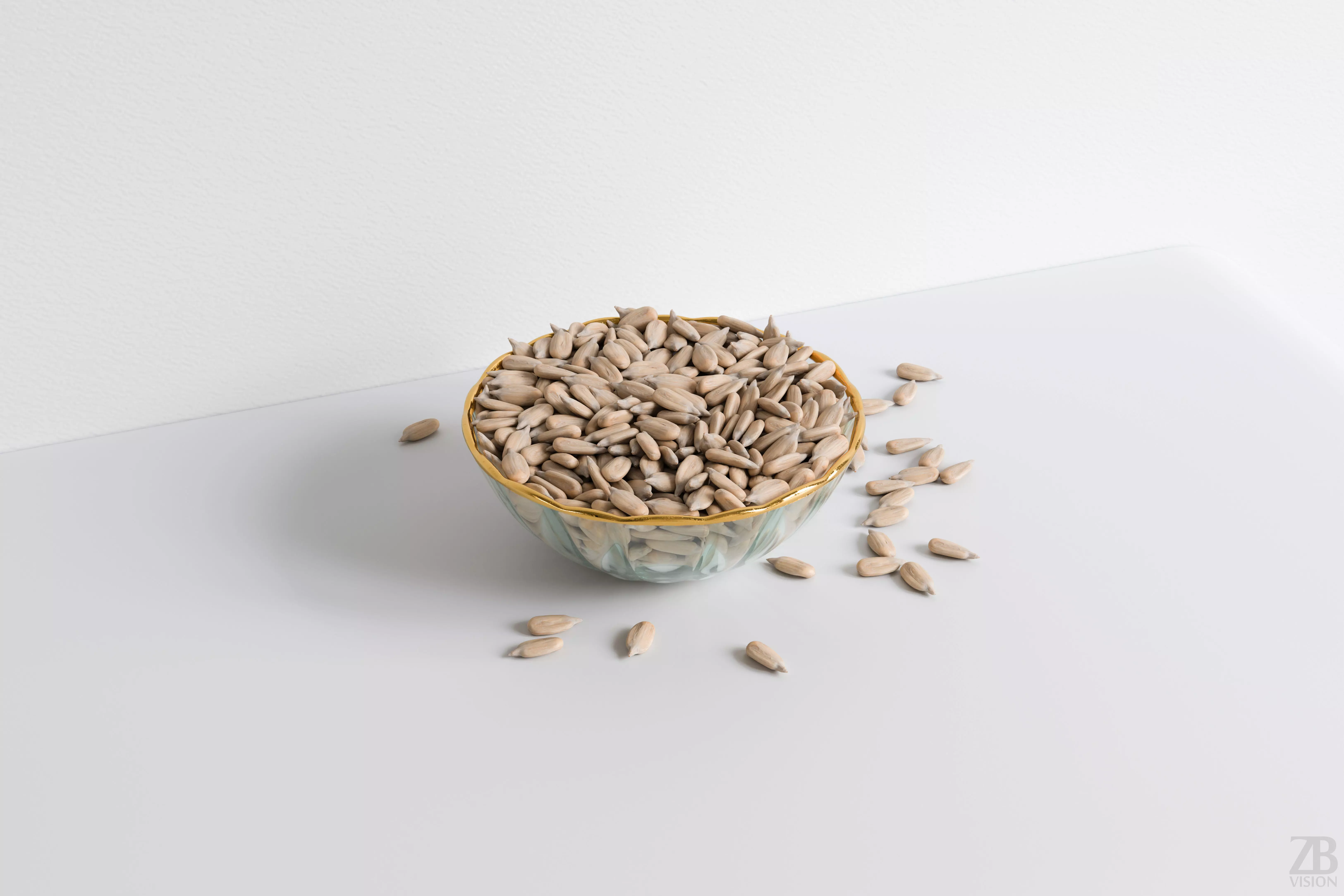 Sunflower Seed 3D model_0