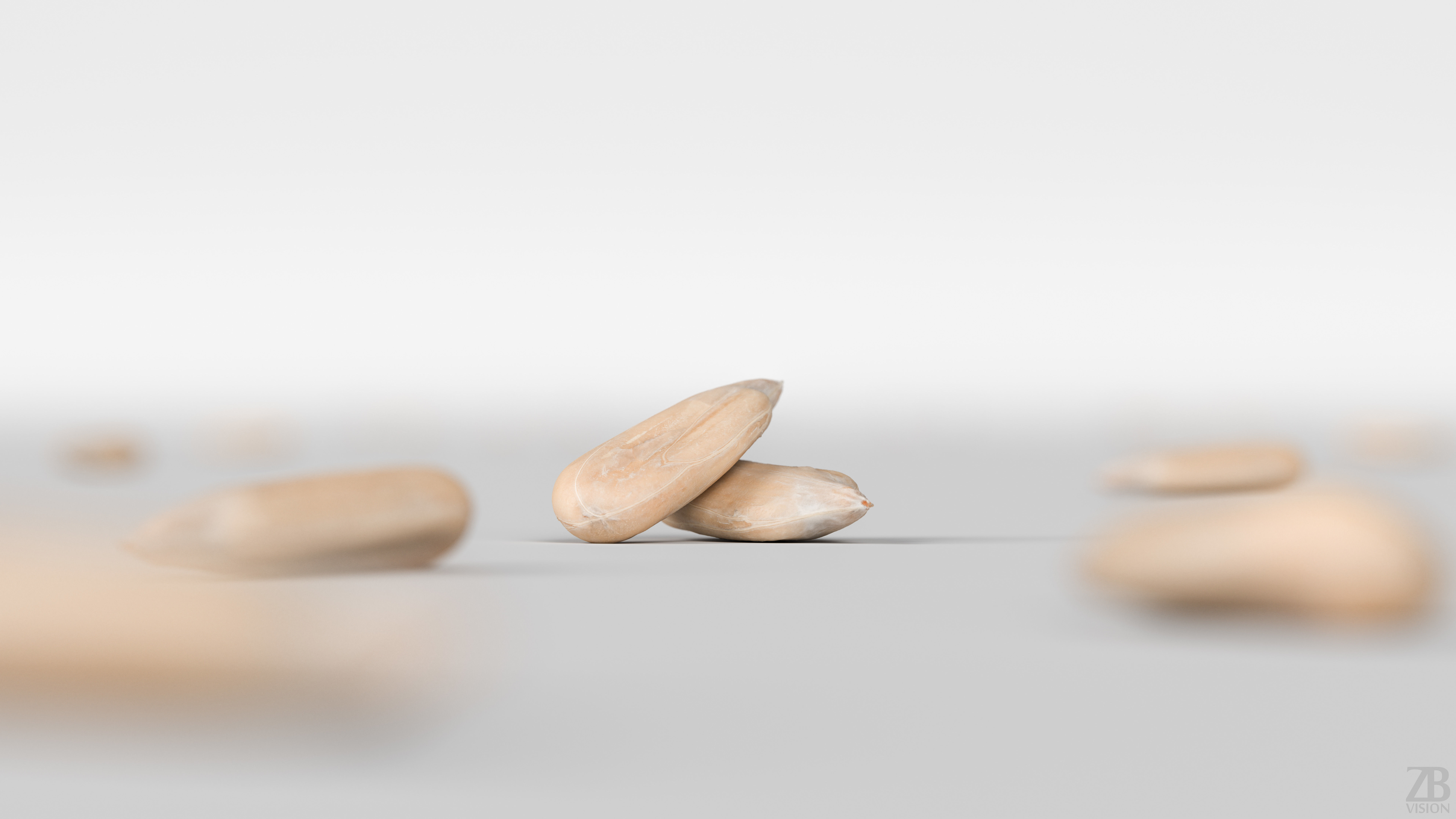 Sunflower Seed 3D model_1