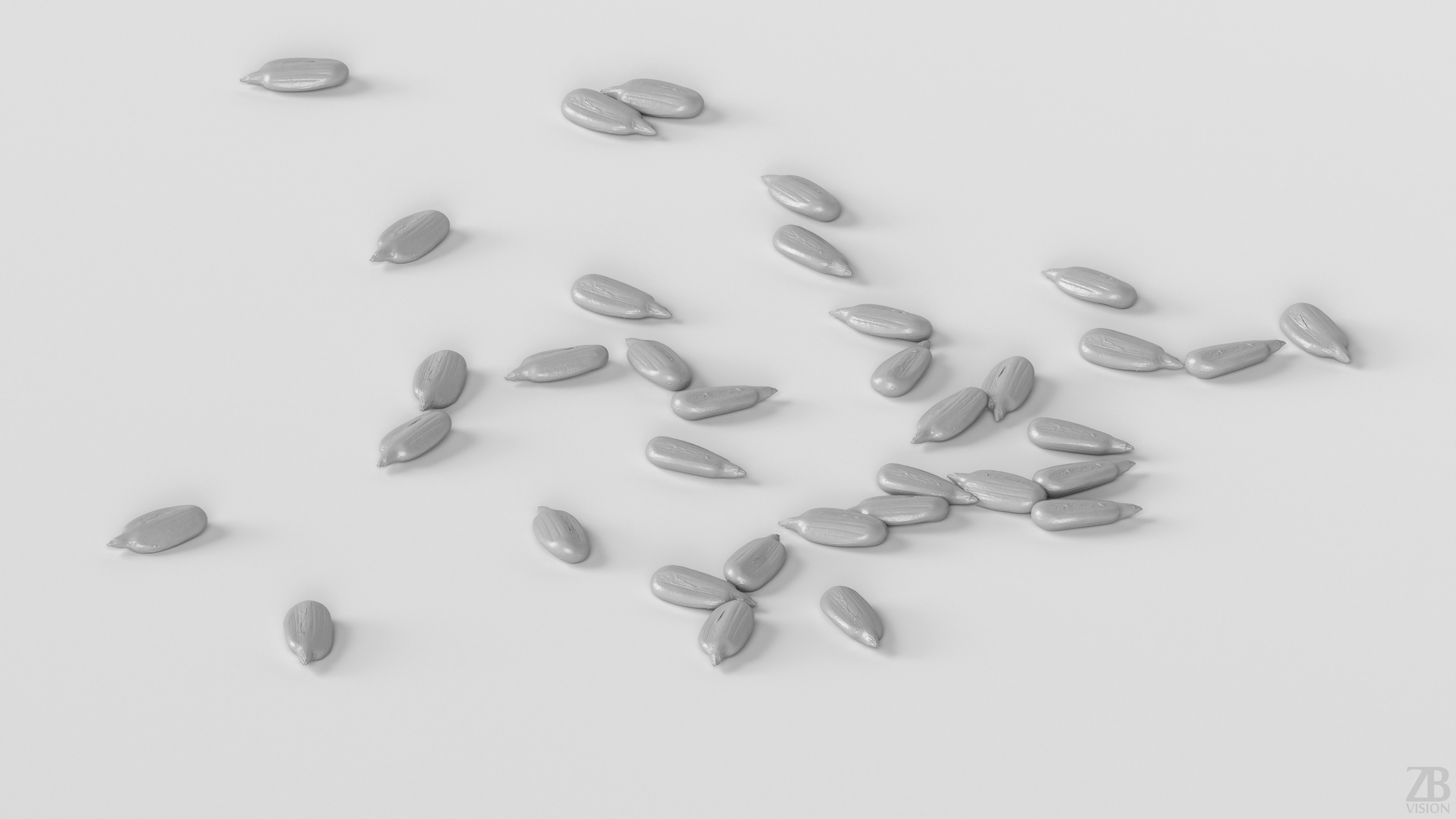 Sunflower Seed 3D model_3