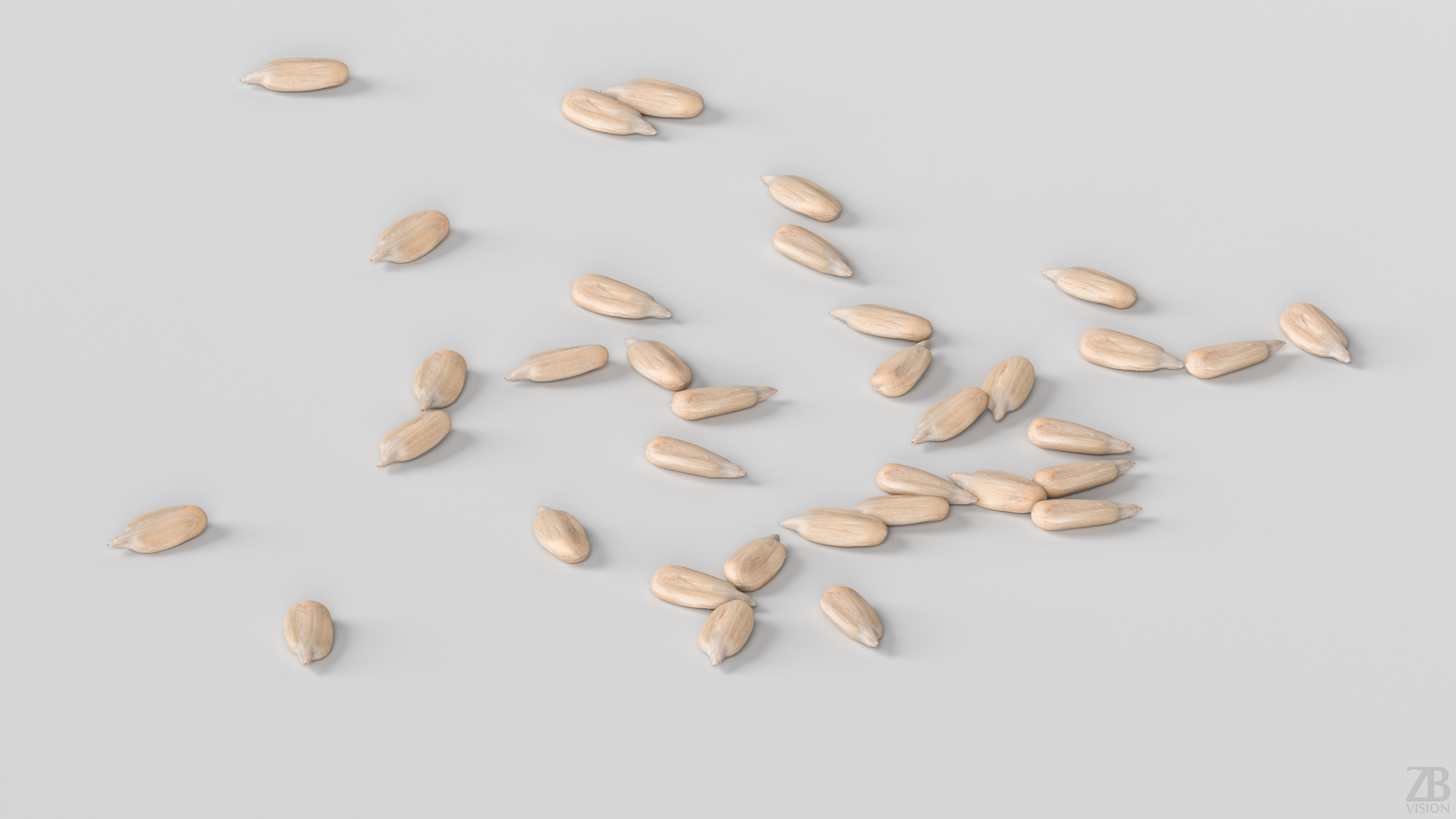 Sunflower Seed 3D model_2