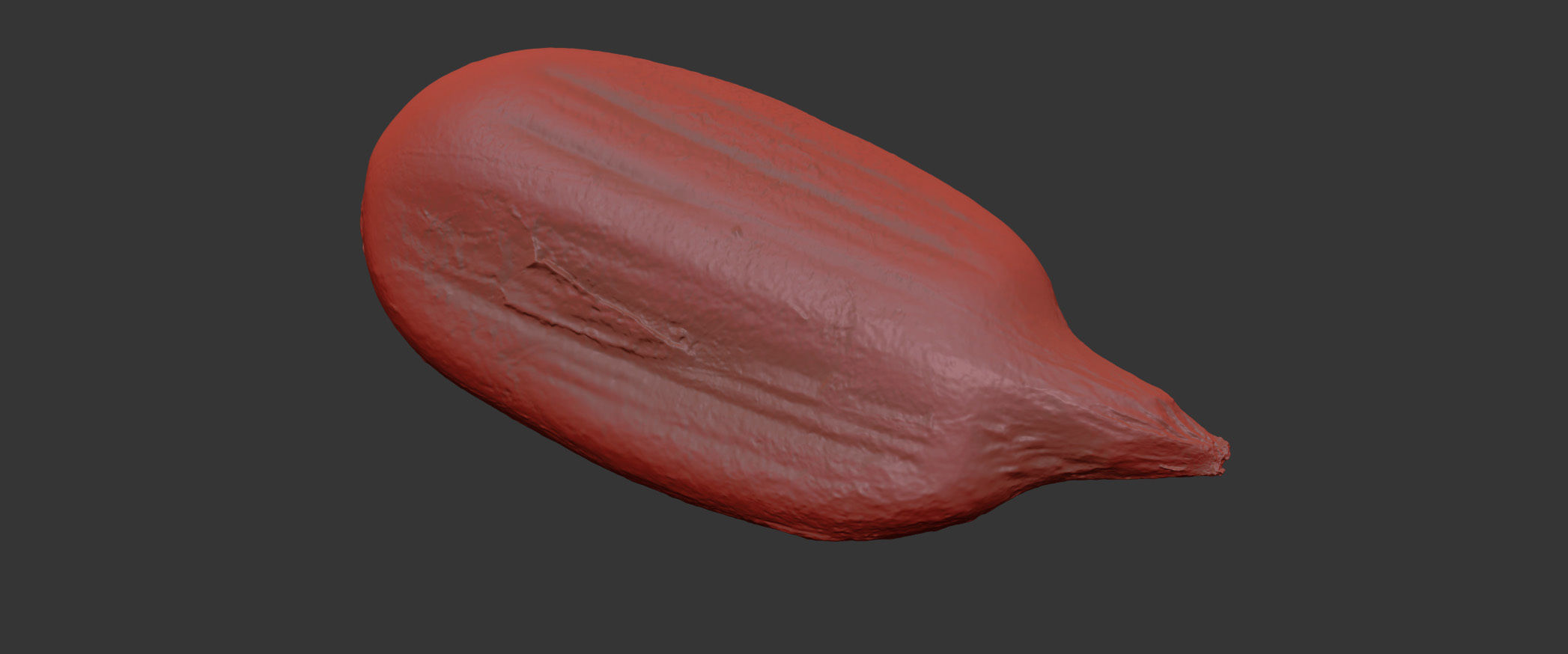 Sunflower Seed 3D model_7