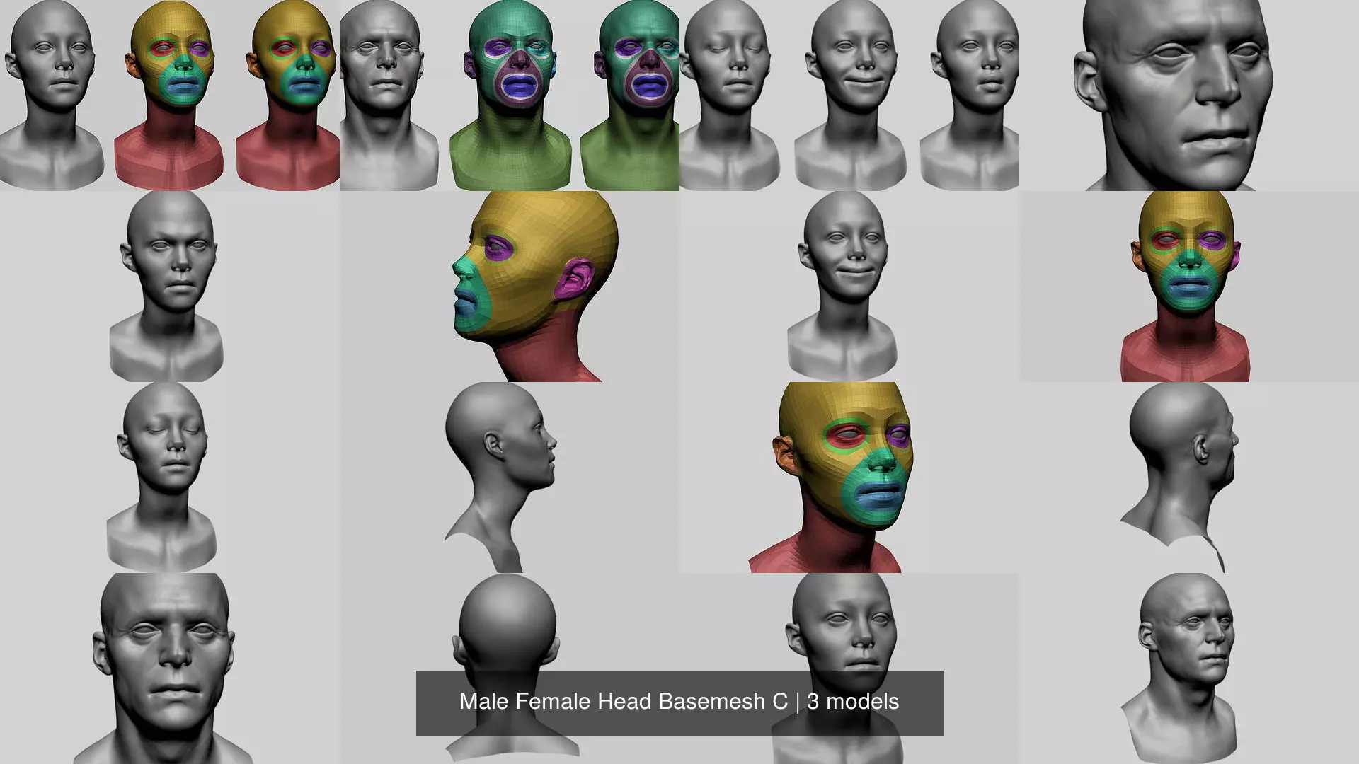 Male Female Head Basemesh C 3D Model Collection_0