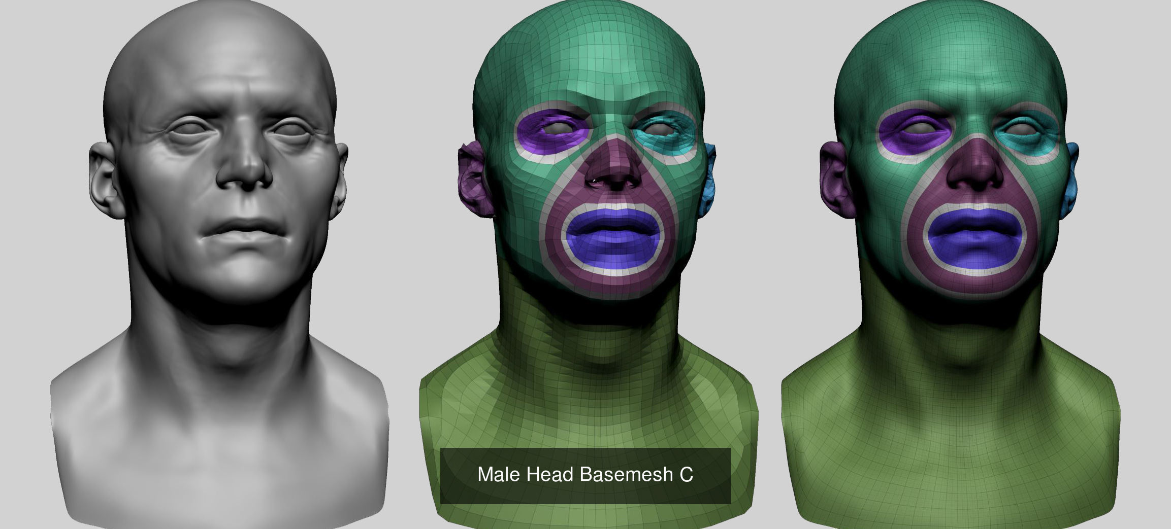 Male Female Head Basemesh C 3D Model Collection_2