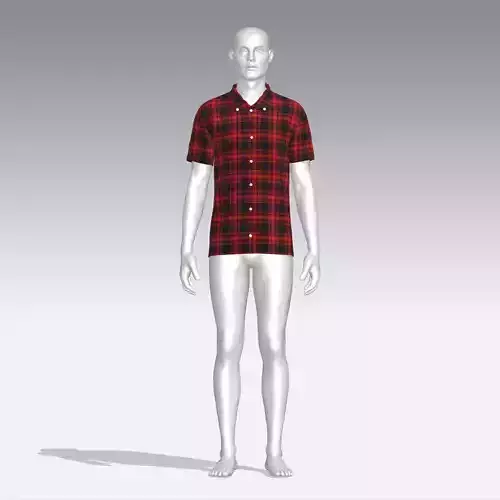 Shirt mannequin in plaid