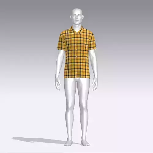 Shirt mannequin wearing plaid