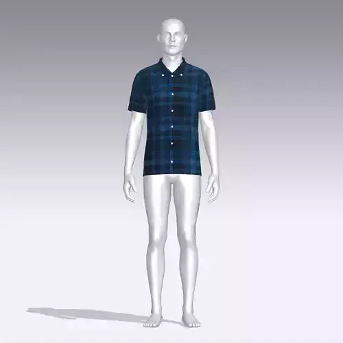 Shirt mannequin wearing plaid