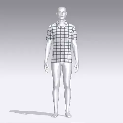 Shirt mannequin wearing plaid
