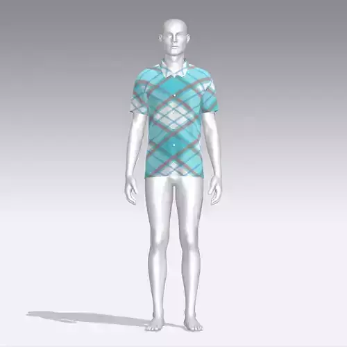 Shirt mannequin in plaid