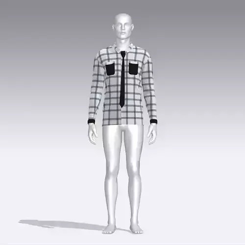 Shirt mannequin wearing plaid and tie