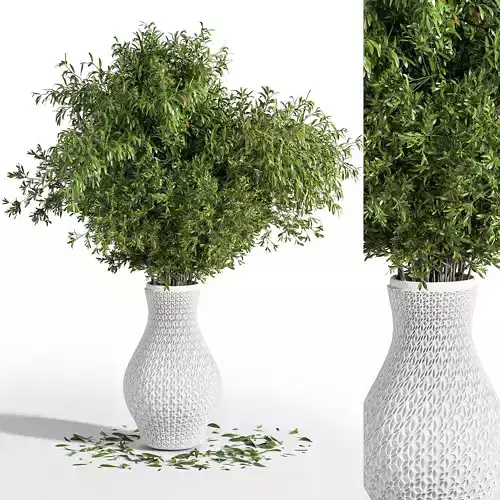 plants bouquet green branch in vase 01