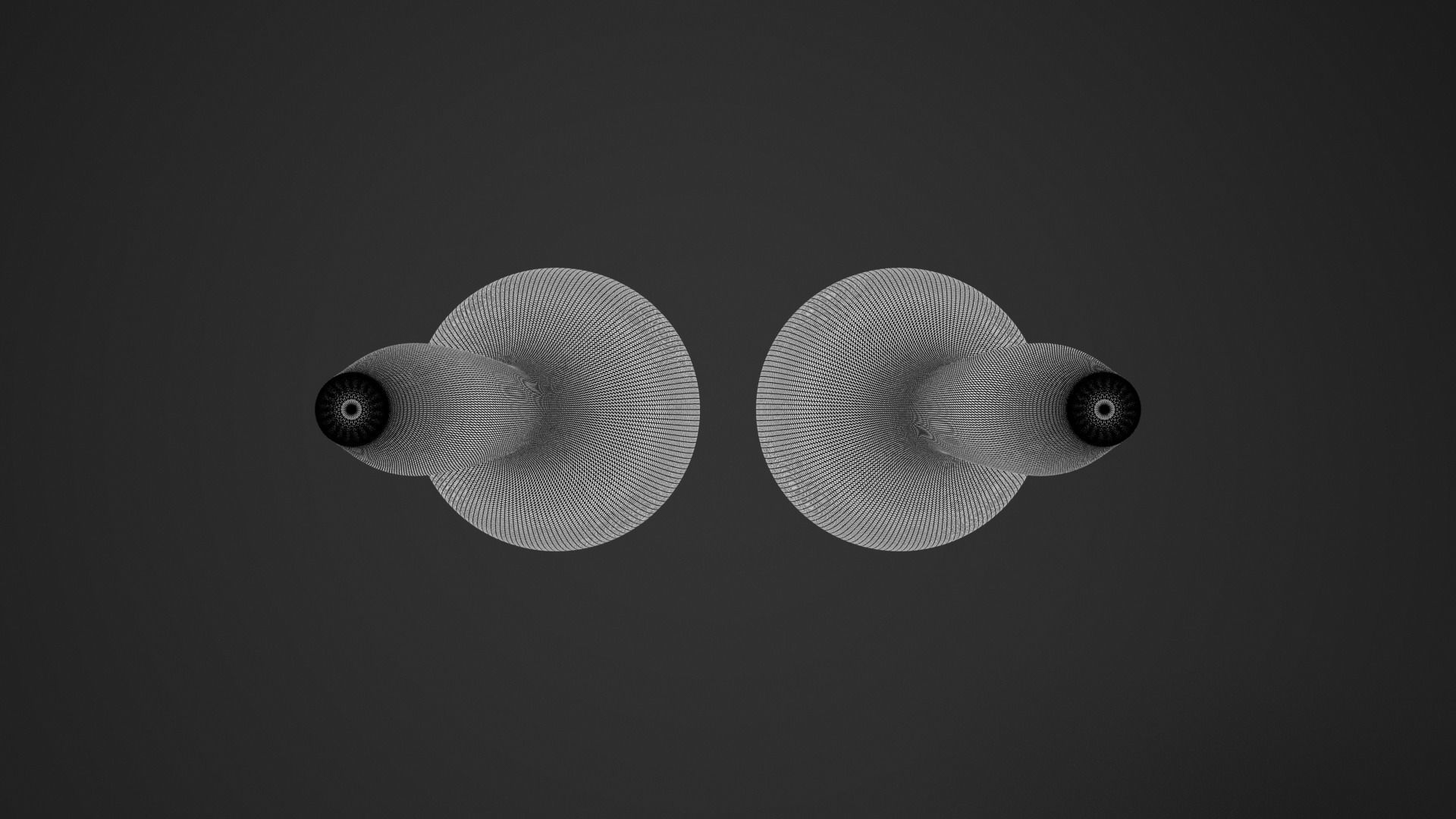 Maracas Percussion Instruments 3D model_11