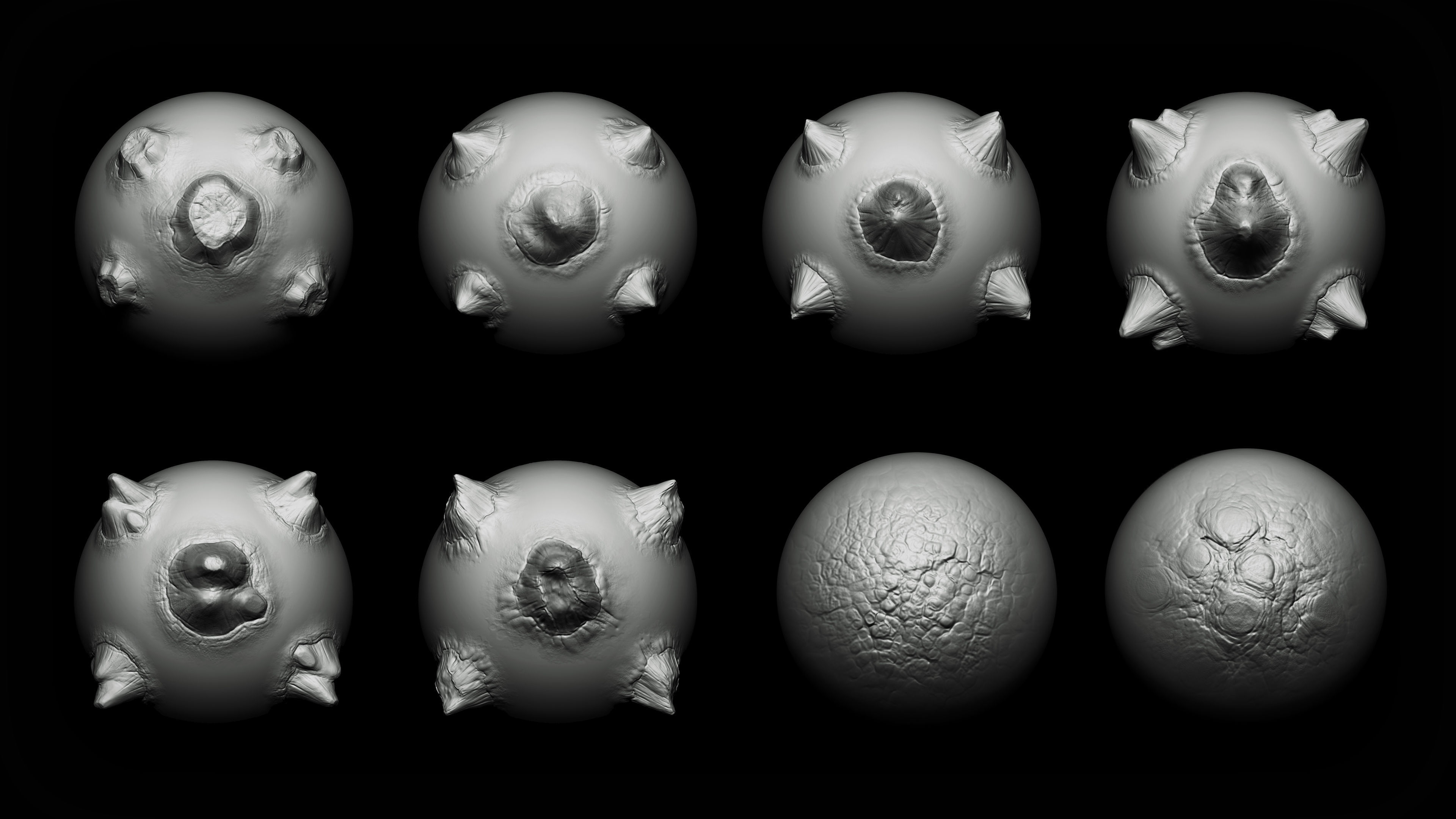 Zbrush Blender - 40 Scales and Skins Brushes 3D model_7