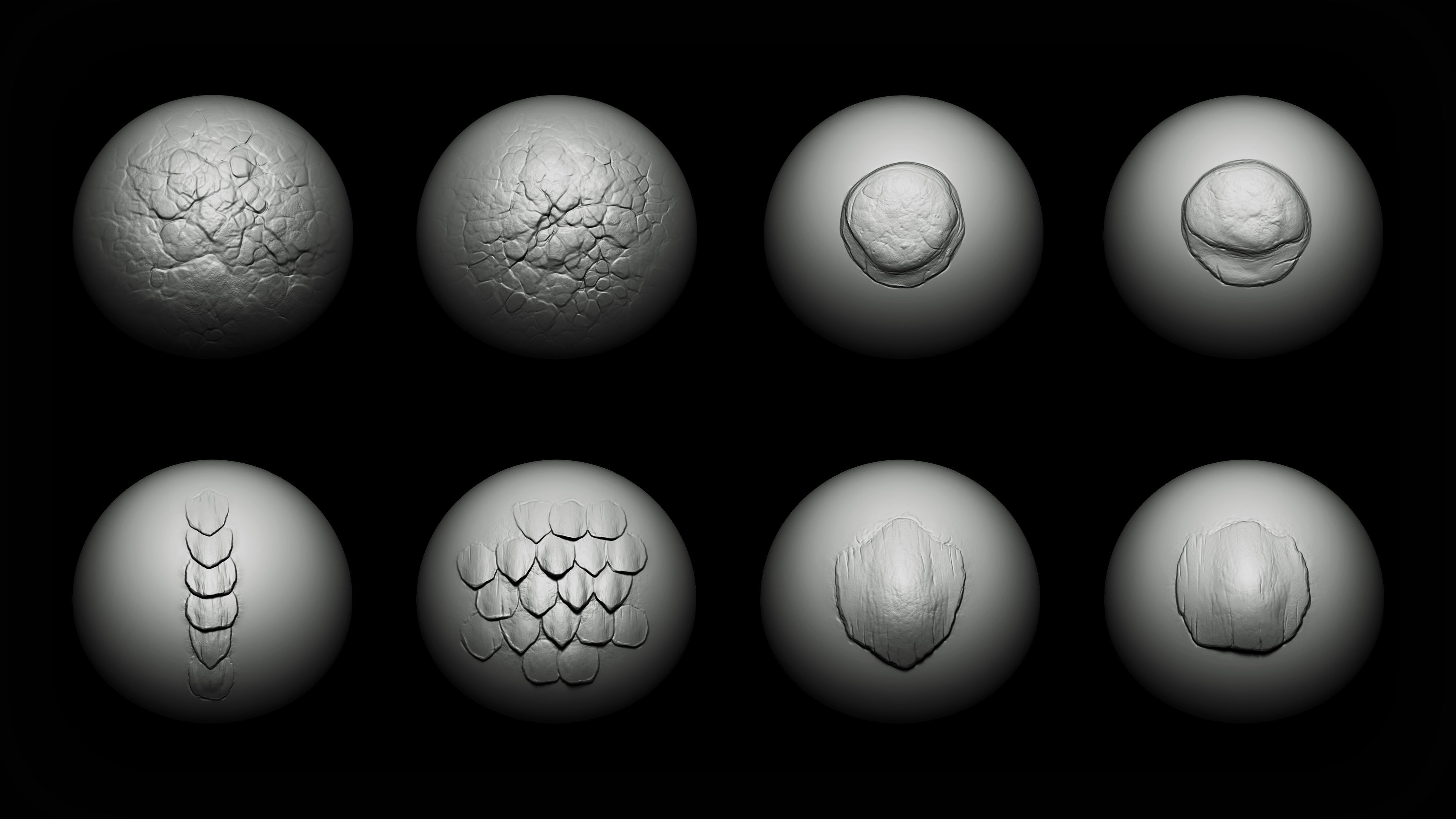 Zbrush Blender - 40 Scales and Skins Brushes 3D model_5
