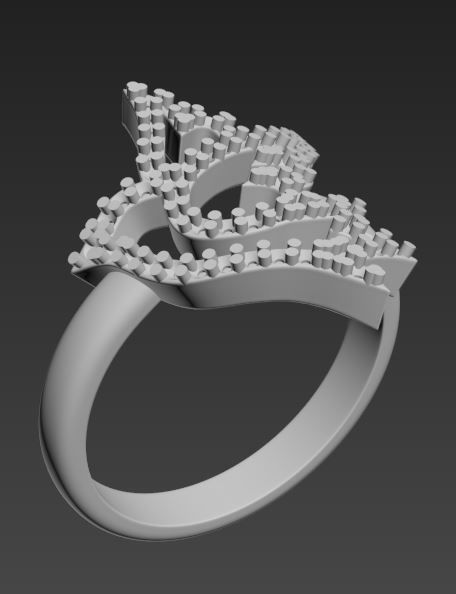 Ring Bird  3D print model_17