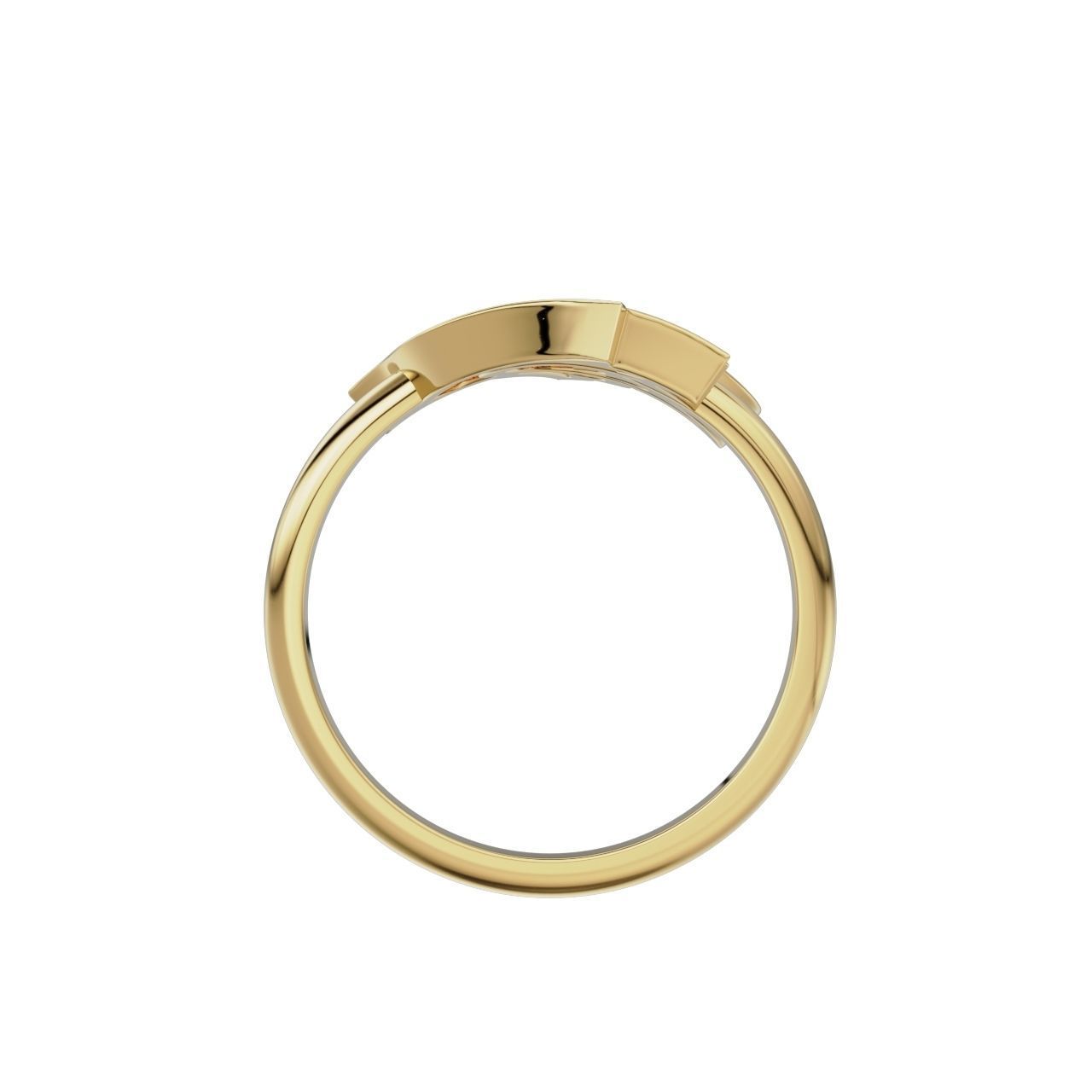 Ring Bird  3D print model_8