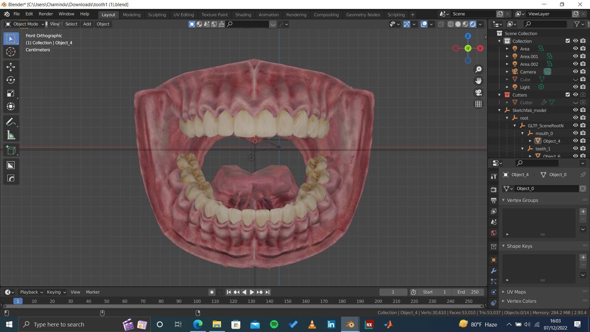 Highly Detailed Human Tooth 3D Model 3D model_2