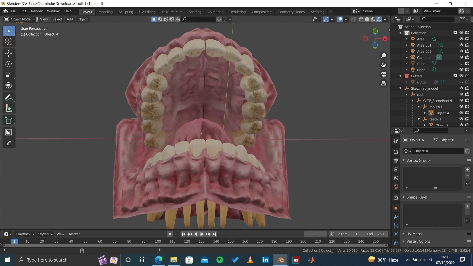 Highly Detailed Human Tooth 3D Model 3D model_5