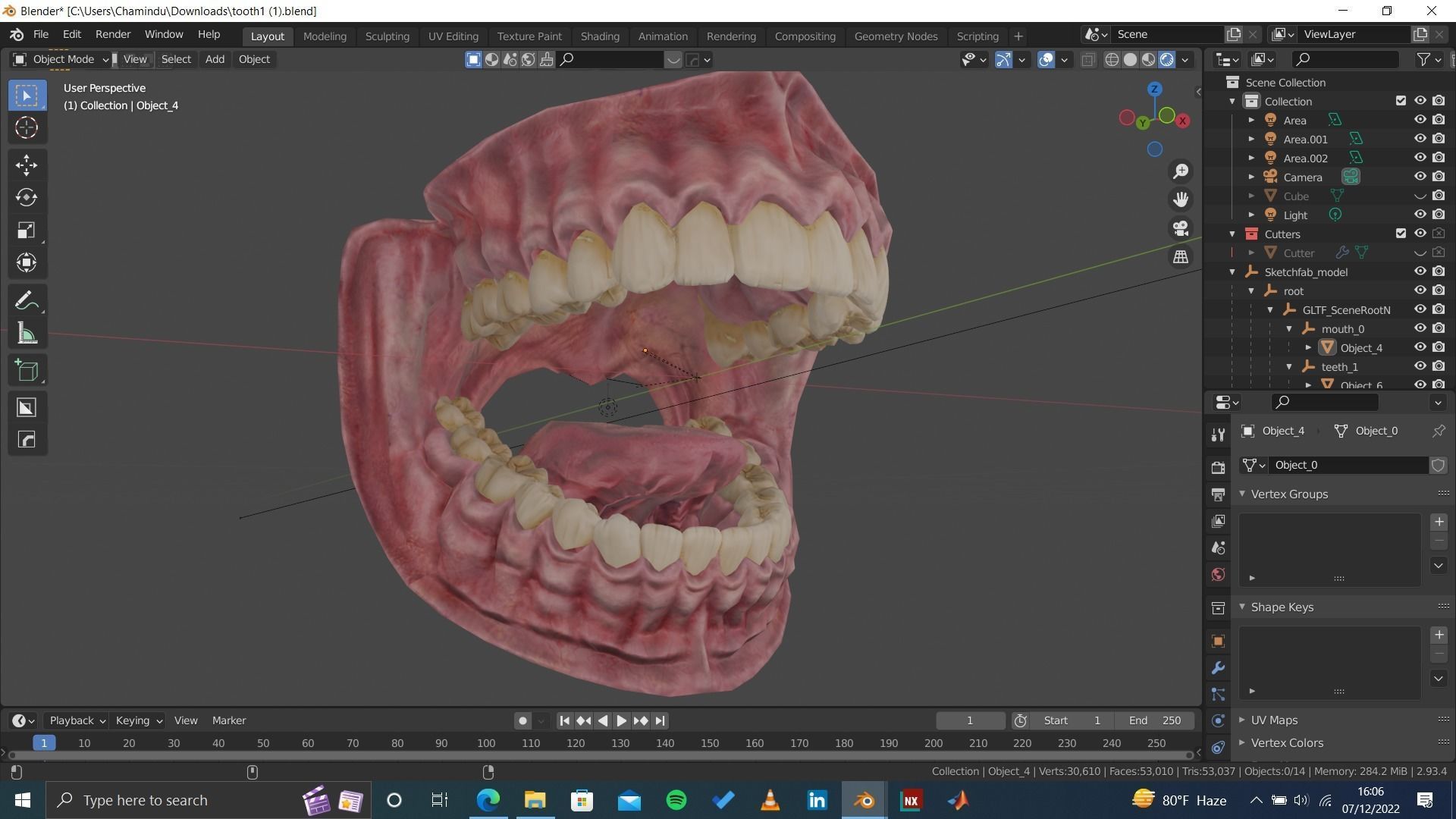 Highly Detailed Human Tooth 3D Model 3D model_8