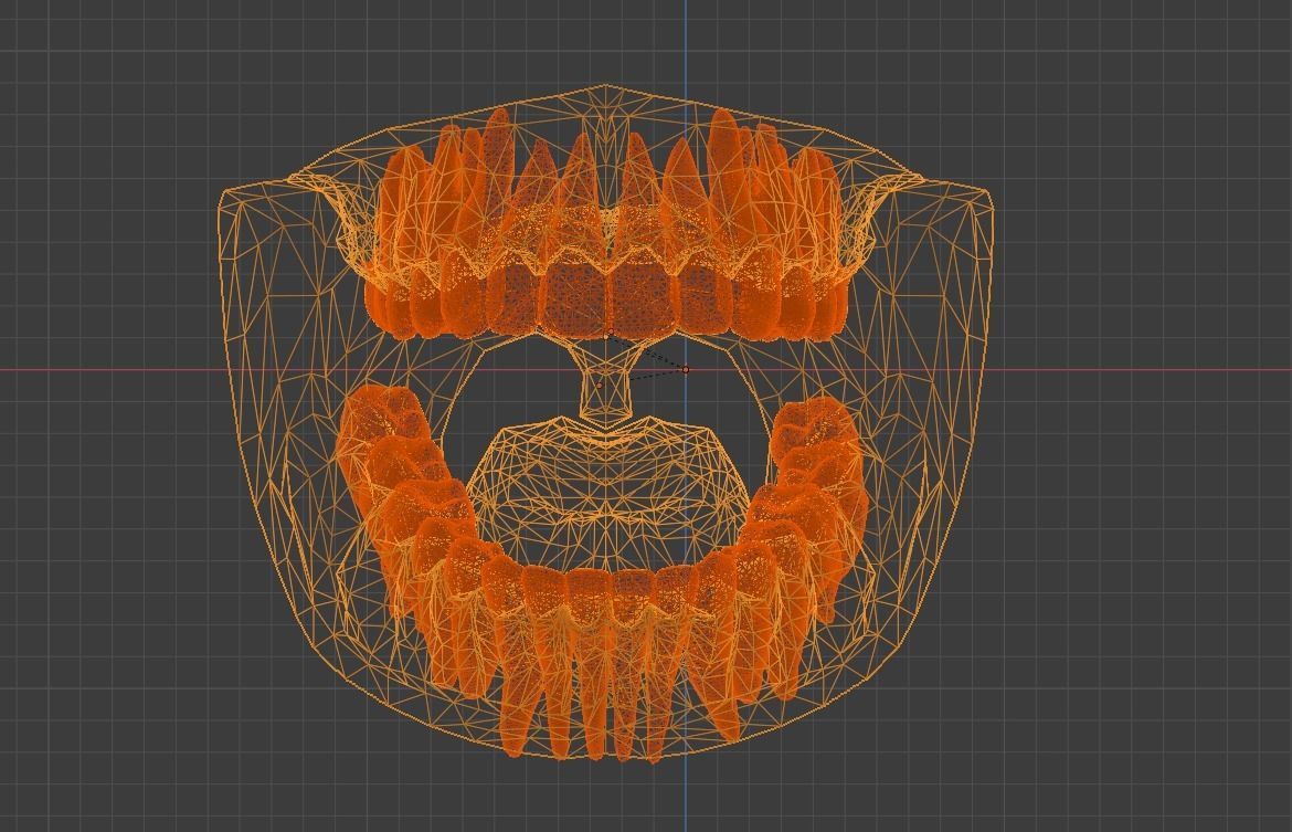 Highly Detailed Human Tooth 3D Model 3D model_9