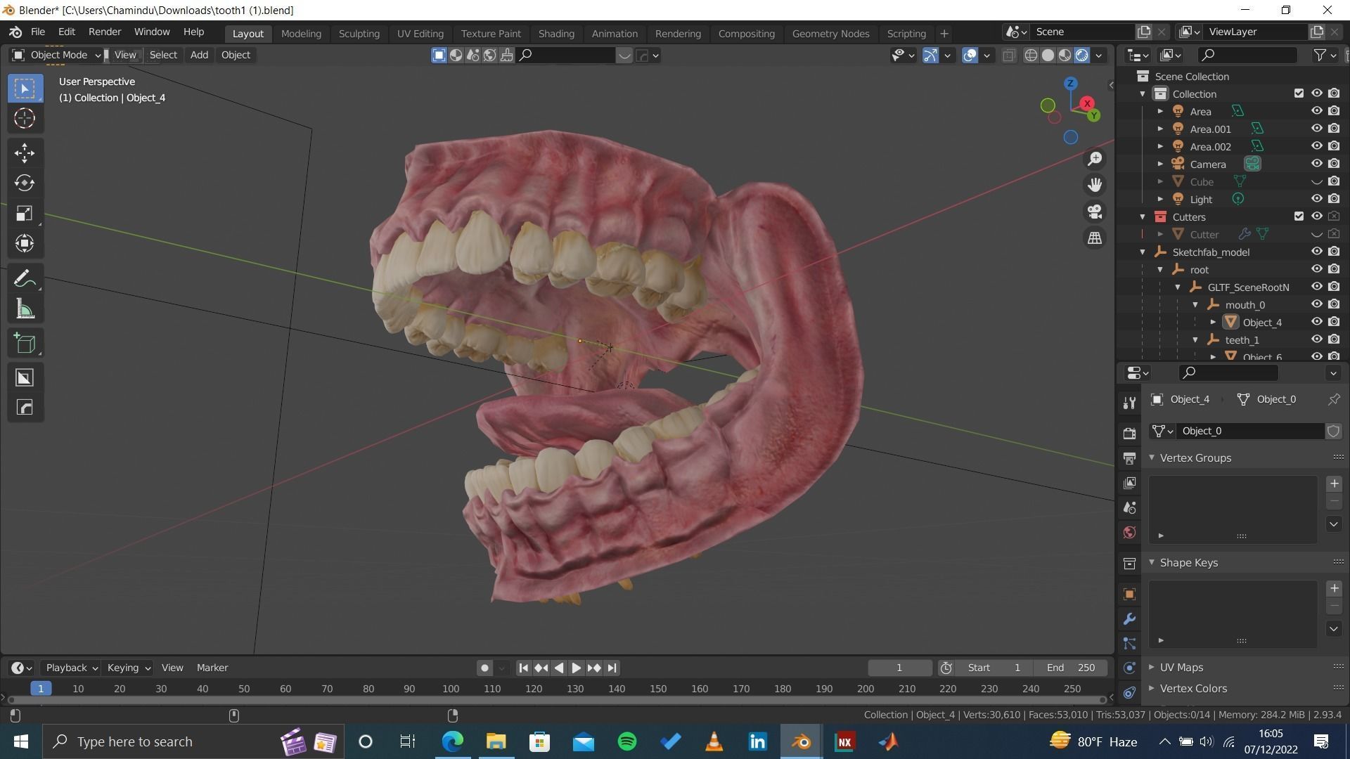 Highly Detailed Human Tooth 3D Model 3D model_7
