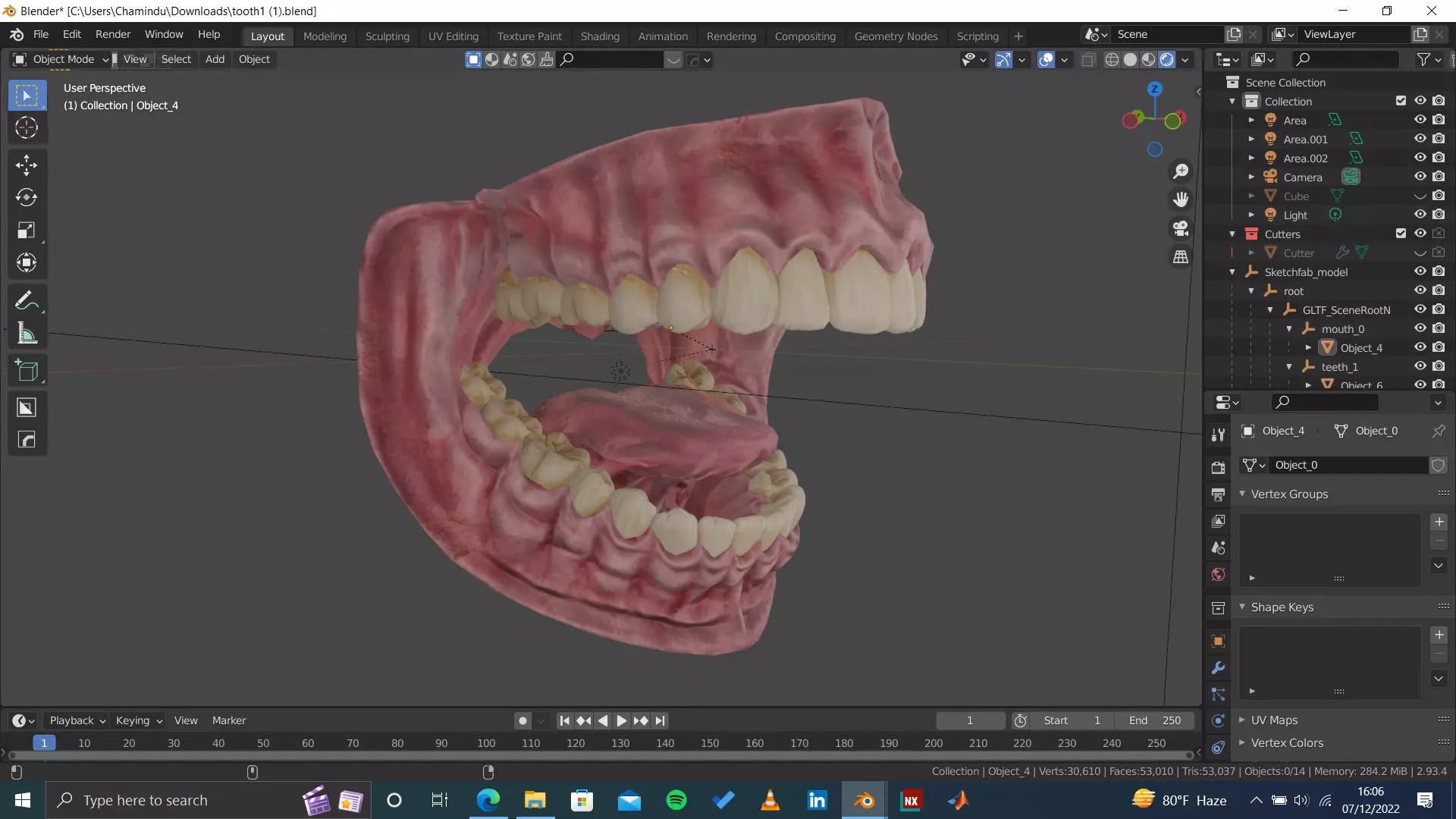 Highly Detailed Human Tooth 3D Model 3D model_0