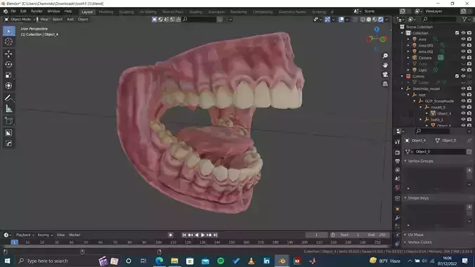 Highly Detailed Human Tooth 3D Model 3D model